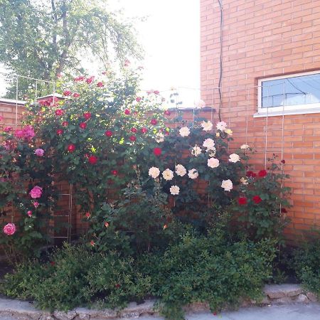 Квартира-Студия В Г. Кропивницком Kirovograd Exterior foto